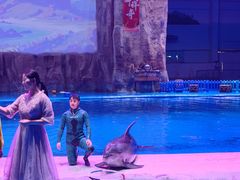 -华夏文旅海洋公园