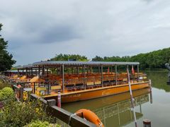 -大湾区中央湿地公园