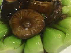 -糖朝(尖沙咀店)