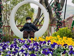 -苏州乐园森林水世界