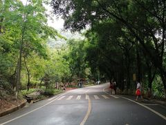 -大雁山风景区