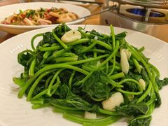 山芋藤-乡亲鹅肉城(吴江店)