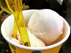 -莓园冰淇淋店