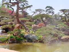 -罗红摄影艺术馆