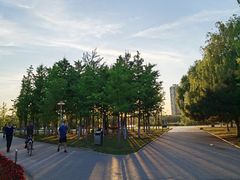 -长白岛森林公园