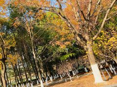 -白塘生态植物园
