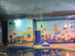 -太平洋海底世界