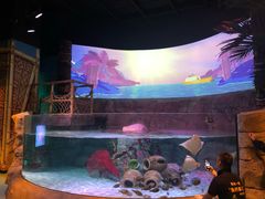 -沈阳海洋探索中心