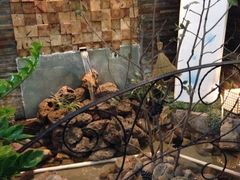 iphone_upload_pic-向阳庄烧烤店(望京西园店)