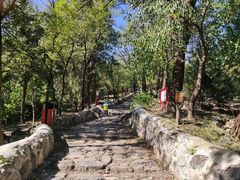 -阳台山自然风景区