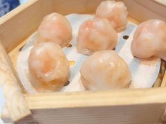-顺德渔村·岭南一号
