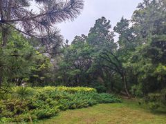 -元大都城垣遗址公园