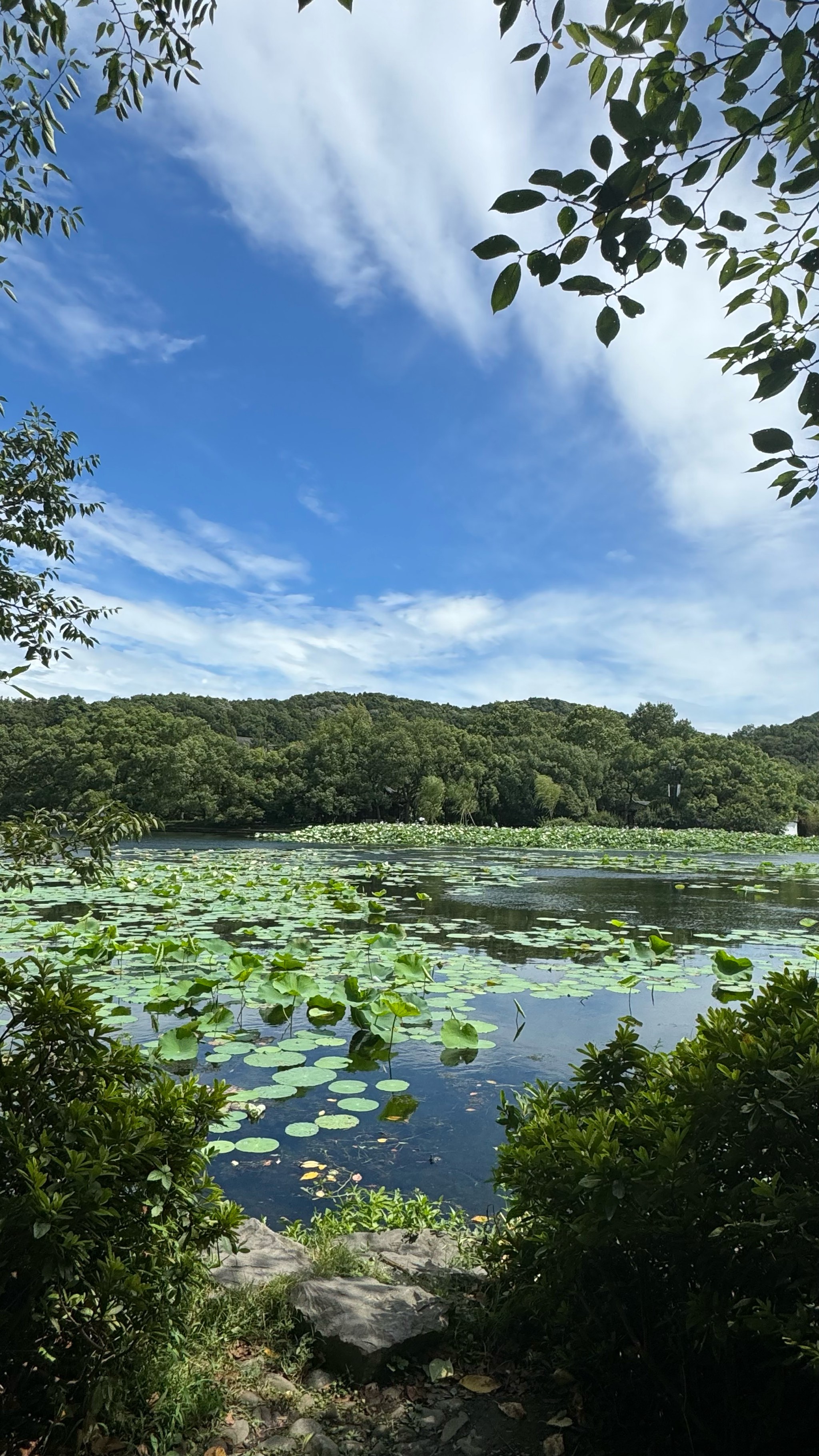 清凉照片风景图片图片