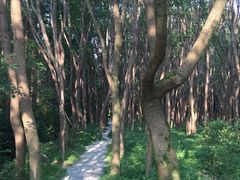 -同里国家湿地公园
