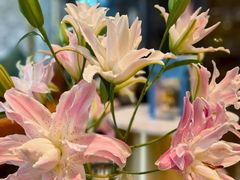 -德米火锅(深圳湾1号旗舰店)