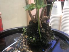 -天福茗茶(王府井百货大楼店)