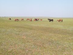 -呼和诺尔旅游景区