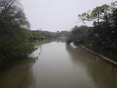 -江心屿景区