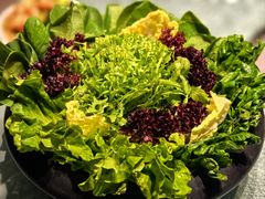 -额尔敦传统涮(公园西路店)