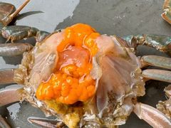 -蜀都冒菜·酱蟹生腌