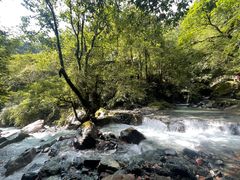 -西岭雪山大飞水景区