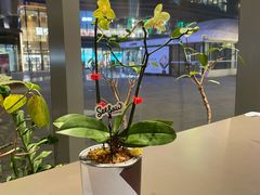 -Seesaw Coffee(苏州中心店)