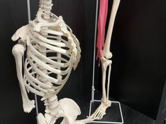 -TOP健身私教工作室(侨香店)