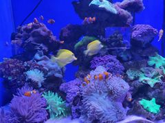 -多彩贵州城极地海洋世界