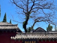 -少林寺欢喜地素斋馆