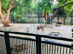 -TrueLove @ Neverland (Husky Cafe)