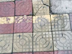 -忠记姜母鸭