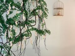 -左悦·艾灸调理·推拿按摩·精油SPA(卓悦汇店)