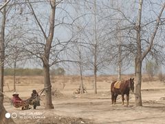 -花园口旅游区