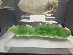 -湖南省地质博物馆