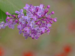 -哈尔滨文化公园