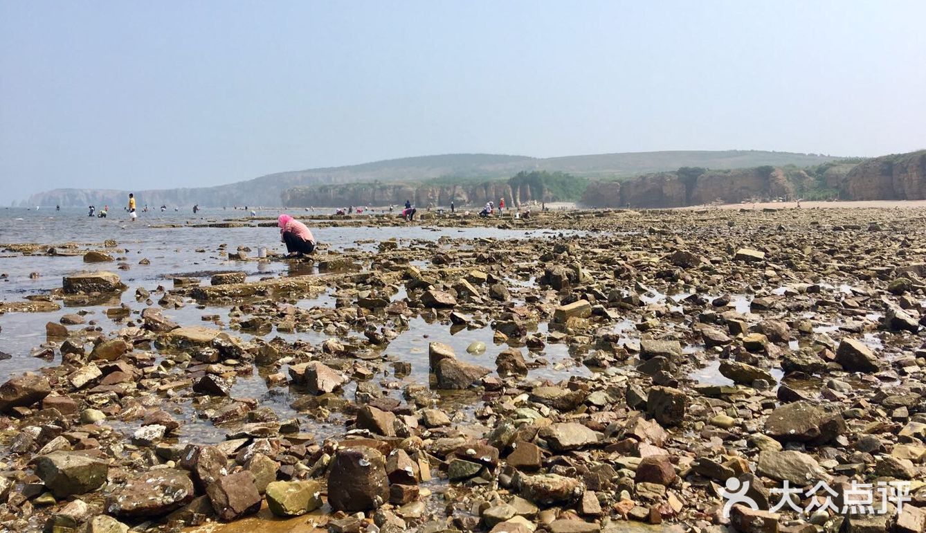 瓦房店大排石赶海