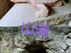 -上海佘山国家森林公园天马山园