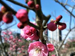 -大宁灵石公园西门票处