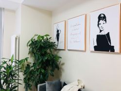 -演员的秘密·皮肤管理