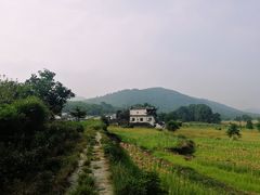-塔川景区
