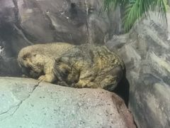 -福州罗源湾海洋世界旅游区