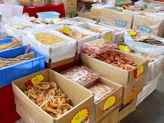 -深圳市海吉星国际农产品物流管理有限公司