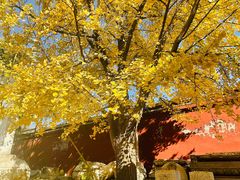 -北京石刻艺术博物馆(五塔寺)