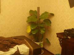 -北纬37°SPA养身会馆(湖西店)