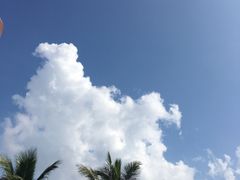-三亚胜意海景酒店·海鲜自助餐厅(三亚湾路店)