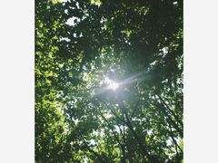 -四川农业大学(雅安校区)