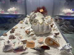 -福州罗源湾海洋世界旅游区