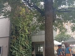 -徐家汇源景区-衡山坊