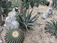 -洪小鹏生活美学馆(领SHOW天地店)