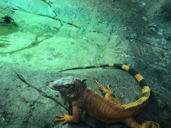 -福州罗源湾海洋世界旅游区